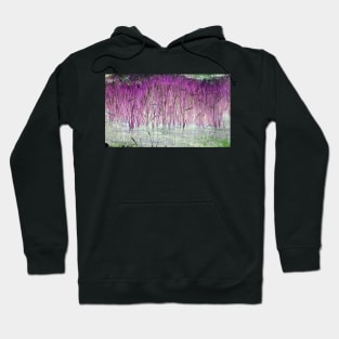 Purple Reeds 2-Available As Art Prints-Mugs,Cases,Duvets,T Shirts,Stickers,etc Hoodie